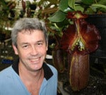 borneo Avatar