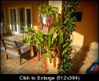 DSCN0937.jpg